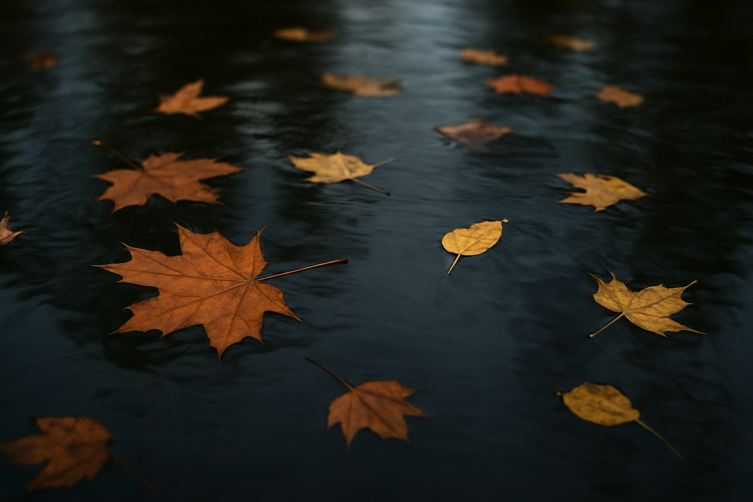 Leaves Falling on Water – Impermanence in the Daoist Eye